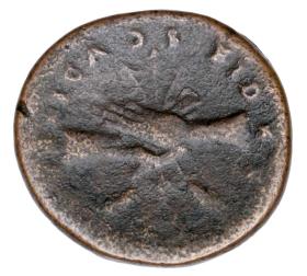 Picture 2 for: 23610