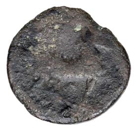 Picture 2 for: 23716