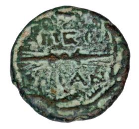 Picture 2 for: 23718