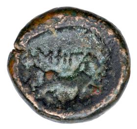 Picture 2 for: 23725