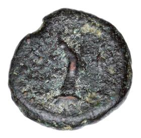 Picture 2 for: 23728