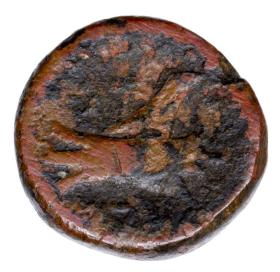 Picture 2 for: 23731