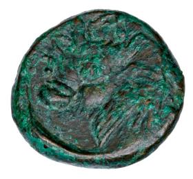 Picture 2 for: 23733