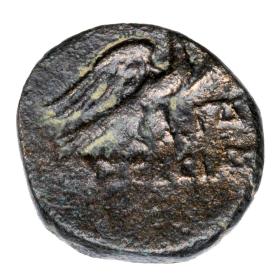 Picture 2 for: 23739