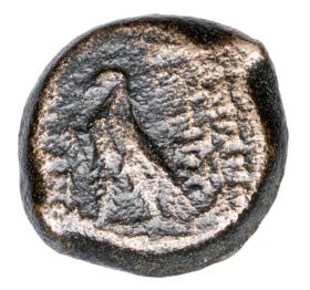 Picture 2 for: 23740