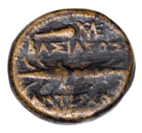 Picture 2 for: 23742