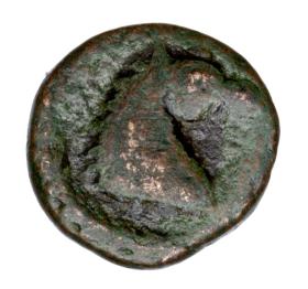 Picture 2 for: 23758